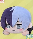 COLORFUL STAGE! The Movie: A Miku Who Can't Sing Nesoberi Lay-Down Plüschfigur Aoyagi Toya 16 cm