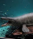 Wonders of the Wild Statue Mosasaurus (NX) 42 cm