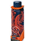 Dragon Ball Edelstahl-Trinkflasche Shenlong