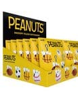 Peanuts Super Duper Plüsch Schlüsselanhänger Blind Bags Wave 1A Display (12)