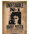 Harry Potter Puzzle Wanted No1 Harry Potter (50 Teile)