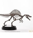 Jurassic Park III ECC Elite Creature Line Statue 1/24 Spinosaurus Skeleton Bronze 27 cm