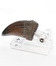 Jurassic Park Statue T-Rex Hand Claw 13 cm