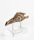 Jurassic Park III Prop Replik 1/1 Velociraptor Resonance Chamber 18 cm
