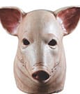Trick or Treat Studios Originals Maske Blood Pig