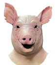 Spiral Maske Pig