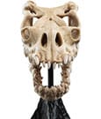 Herr der Ringe Mini Statue Skull of a Fell Beast 21 cm