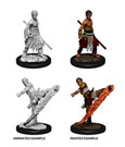 D&D Nolzur's Marvelous Miniatures Miniaturen unbemalt Male Half-Elf Monk Umkarton (6)
