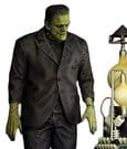 Frankenstein Plastic Model Kit 1/8 The Monster of Frankenstein 27 cm