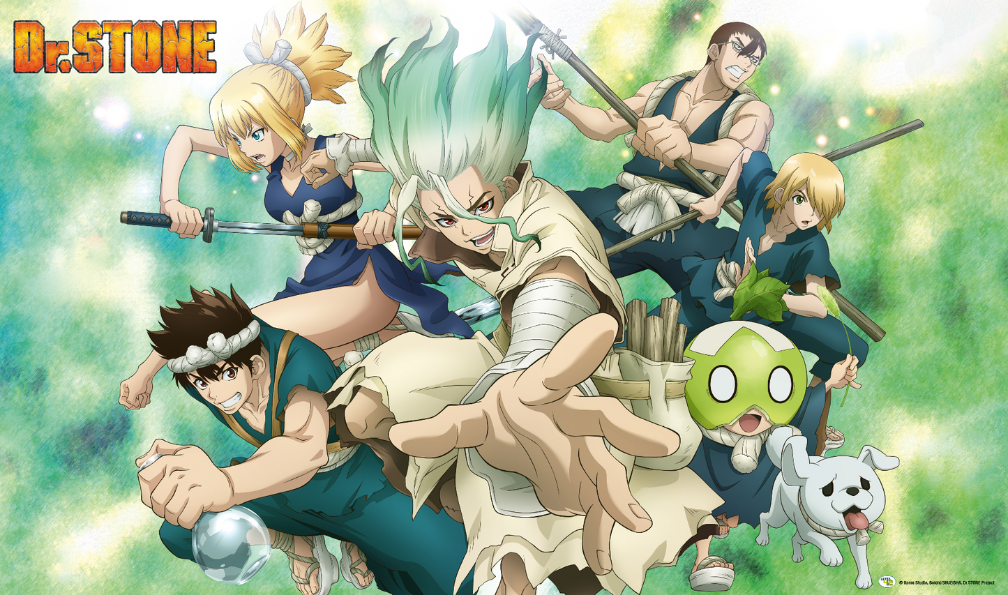 DPG - Playmat Dr. Stone: Battle Heroes
