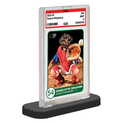 Ultra Pro (UP) - PSA Graded Card Stands (10ct)