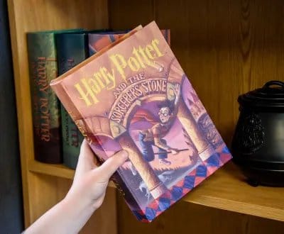 Harry Potter und der Stein der Weisen Aufbewahrungsbox