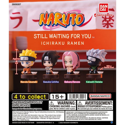Naruto Still Waiting For You Gashapon Minifiguren Blind Box Display (24)