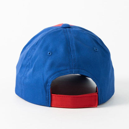 Hot Wheels Baseball Cap Sortiment (12)