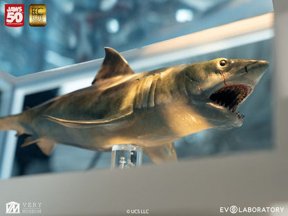 Der weiße Hai Maquette 1/18 Jaws Bronze 60 cm