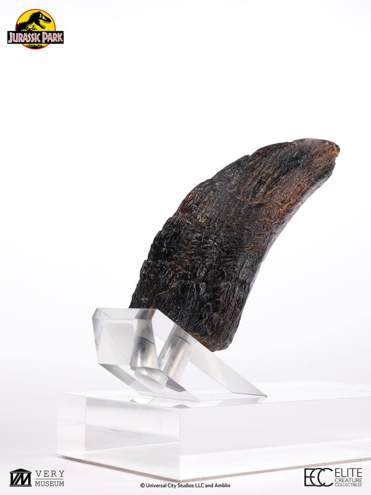 Jurassic Park 1/1 Replik Velociraptor Toenail Type A 11 cm