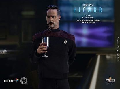 Star Trek: Picard Actionfigur 1/6 Captain Liam Shaw 30 cm