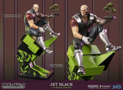 Cowboy Bebop Statue 1/8 Jet Black 30 cm