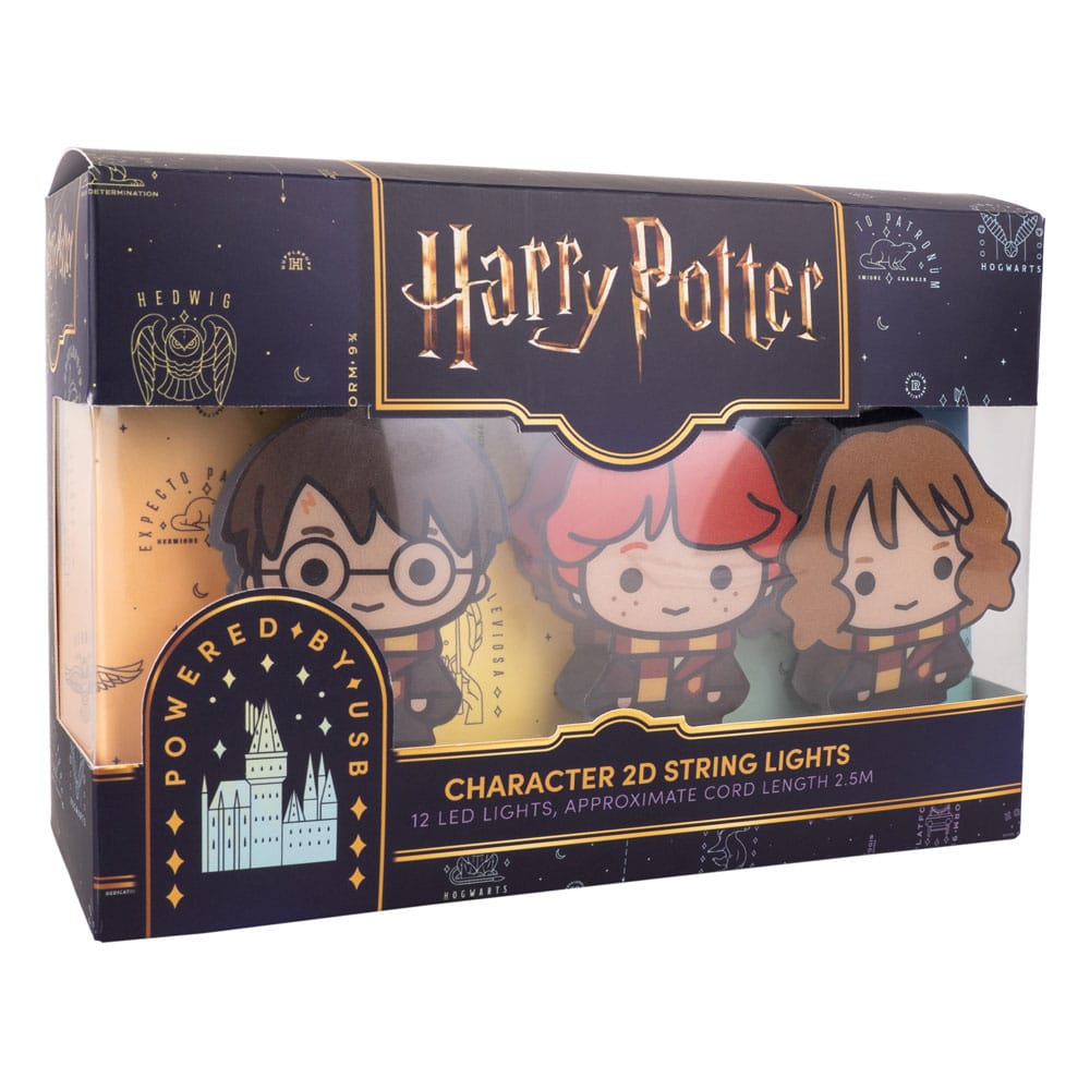Harry Potter Lichterkette 2D Letter of Acceptance & Hedwig