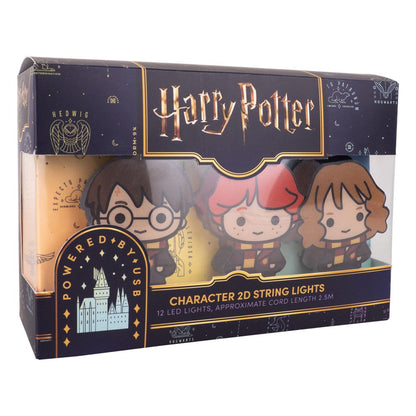 Harry Potter Lichterkette 2D Letter of Acceptance & Hedwig