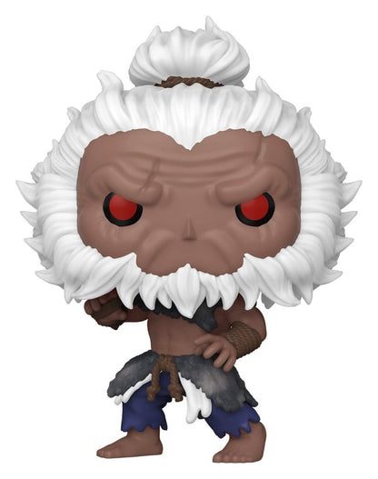 Street Fighter 6 POP! Animation Vinyl Figuren Akuma with Chase 9 cm Sortiment (6)