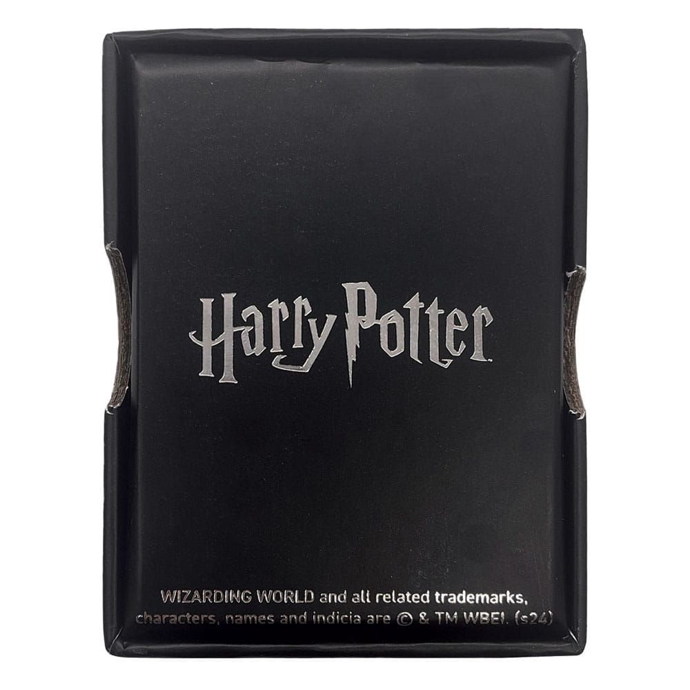 Harry Potter Halskette & Anhänger Flying Key