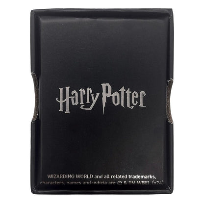 Harry Potter Halskette & Anhänger Flying Key