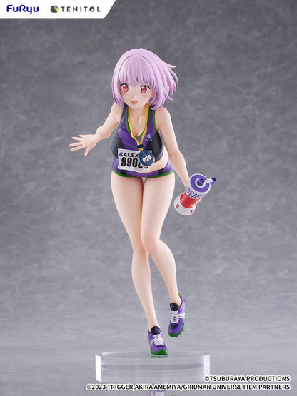 Gridman Universe Tenitol Tall PVC Figur Akane Shinjo Sportswear Ver. 28 cm