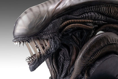 Alien Romulus Büste 1/1 Xenomorph 53 cm