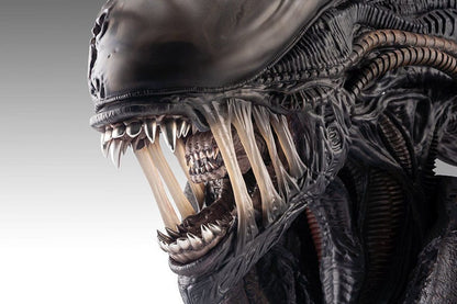Alien Romulus Büste 1/1 Xenomorph 53 cm