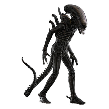 Alien Movie Masterpiece Actionfigur 1/6 Big Chap 36 cm