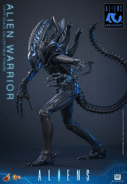Alien Movie Masterpiece Actionfigur 1/6 Alien Warrior 39 cm