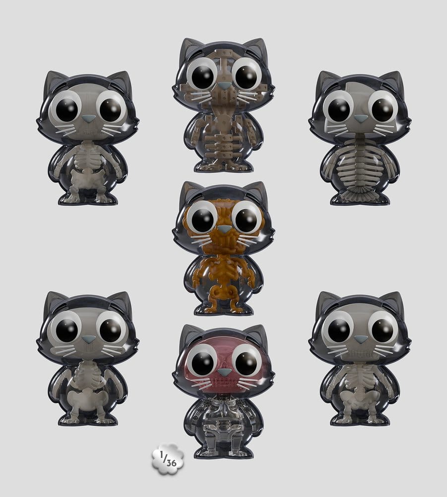 Catscans Minifiguren S2 Bare Bones 6 cm Blind Box Display (6)