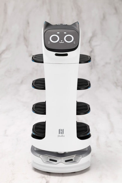 Pudu Robotics Grande Scale Plastic Model Kit BellaBot 19 cm