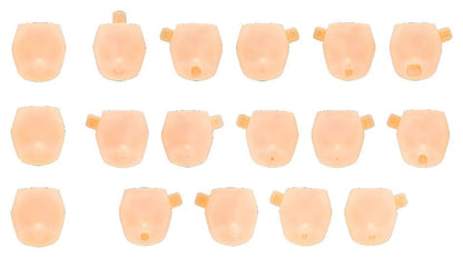 Megami Device M.S.G. Zubehör-Set für Plastic Model Kits 1/1 10 Face Set Puni Mofu 01 Skin Color D