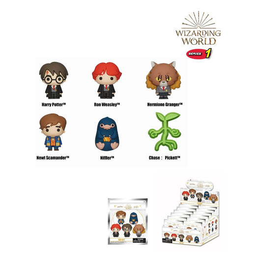 Wizarding World 3D 3D Magnete Series 1 Display (12)