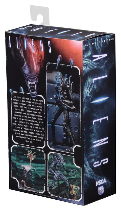 Aliens Ultimate Actionfigur Warrior (1986) Blue 23 cm