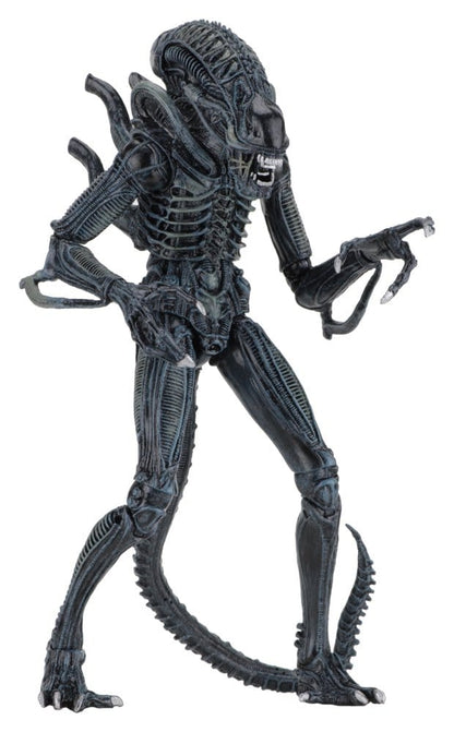 Aliens Ultimate Actionfigur Warrior (1986) Blue 23 cm