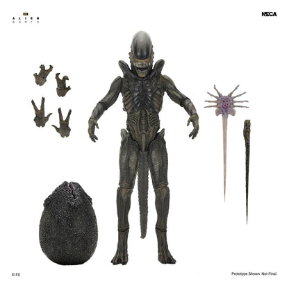 Alien: Earth Ultimate Actionfigur Xenomorph 18 cm