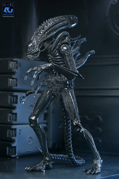 Aliens Ultimate Actionfigur Warrior (1986) Xenomorph Black (40th Anniversary) 23 cm