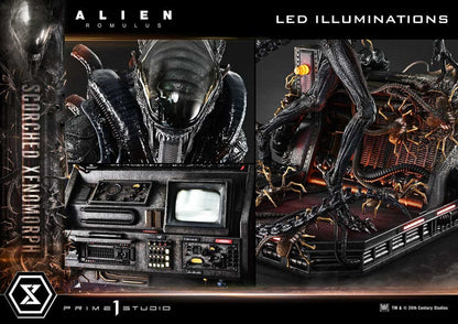Alien: Romulus Museum Masterline XL Statue 1/3 Scorched Xenomorph Deluxe Version 98 cm