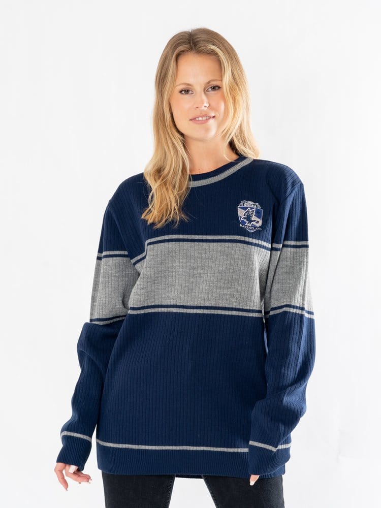 Harry Potter Sweater Ravenclaw Größe XL