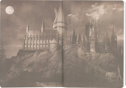 Harry Potter Softcover Notizbuch Gryffindor 21 cm