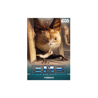 Star Wars: The Mandalorian Sammelkarten Starter Pack *Englische Version*