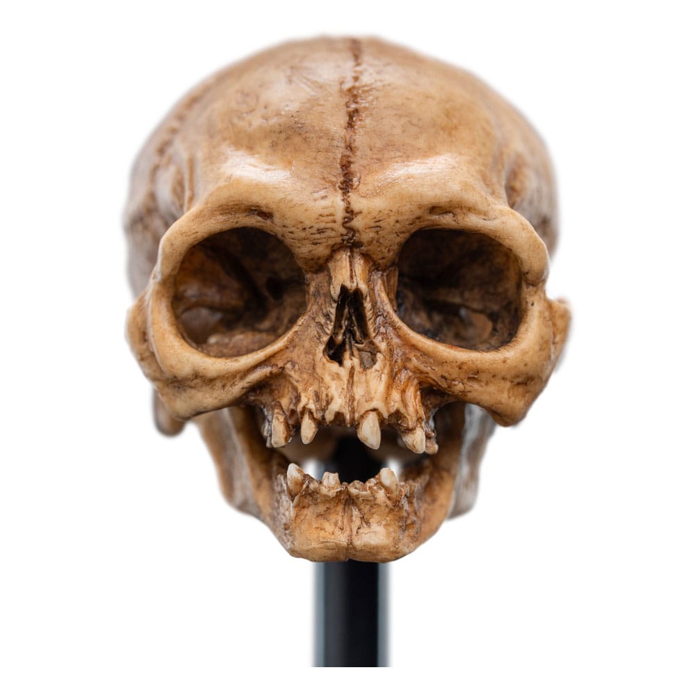 Herr der Ringe Mini Statue Skull of Gollum 13 cm