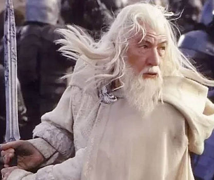 Der Herr der Ringe Figures of Fandom PVC Statue Gandalf der Weiße 23 cm