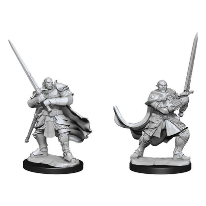 D&D Nolzur's Marvelous Miniatures Miniaturen unbemalt Half-Orc Paladin Male Umkarton (2)