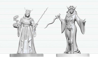 Dungeons & Dragons Nolzur's Marvelous Miniatures Miniatur unbemalt Kultisten-Fanatiker & Hierophant 14 cm
